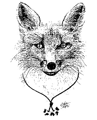 Bundle-Fox