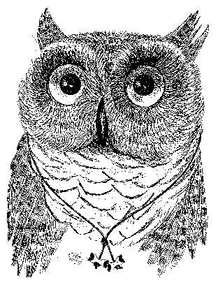 Bundle-Owl